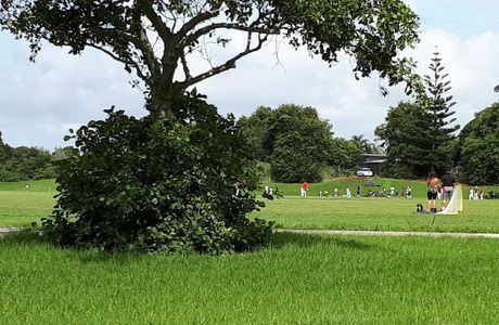 Lloyd Elsmore Park