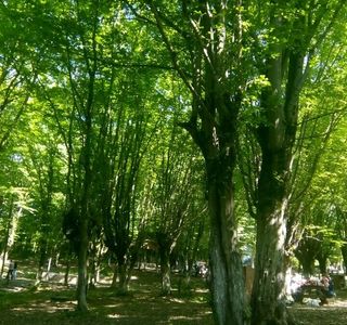 Balamba Tabiat Parki