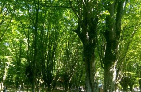 Balamba Tabiat Parki