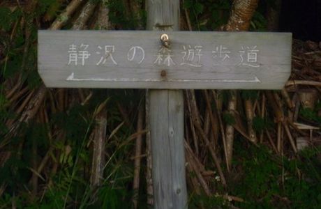 Shizukasawa Forest Promenade