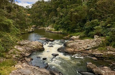 Ranomafana National Park