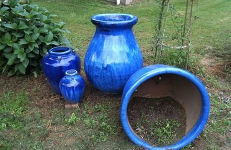 Back O' the Moon Gardens