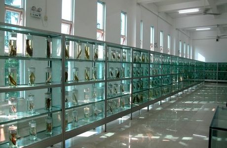 Aquatic Museum of Guangdong Ocean University