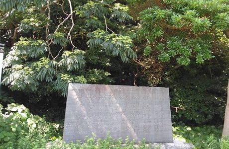Memorial of Yashinomi