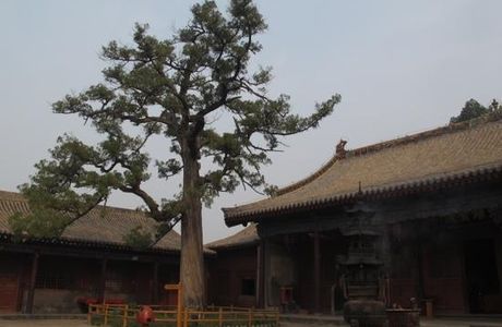 Shuishen Temple