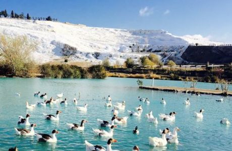 Mount Honaz National Park