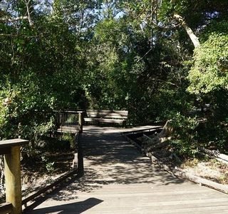 Myora Springs Conservation Area