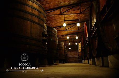 La Vieja Bodega