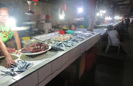 Fish and Meat Market