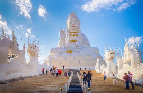 Wat Pa Phrueks Fish Sanctuary