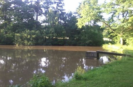 Reutsee
