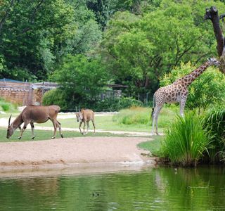 La Ferme Pedagogique du Parc du Lion