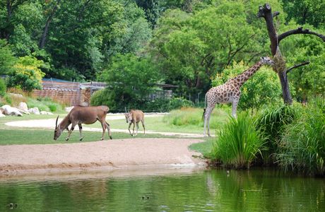 La Ferme Pedagogique du Parc du Lion
