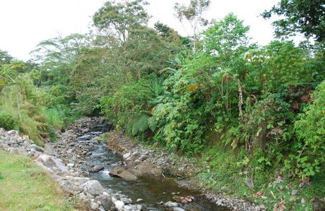 Boca de arenal