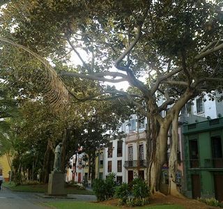 Santa Cruz y San Francisco