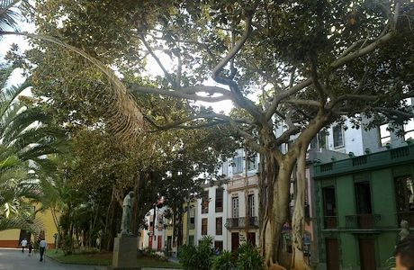 Santa Cruz y San Francisco