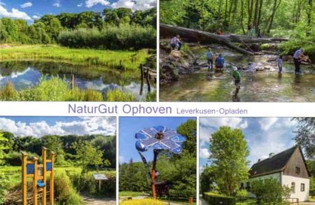 NaturGut Ophoven