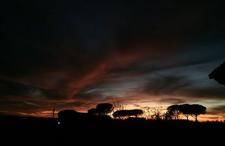 La Fattoria di Nonno Fiore