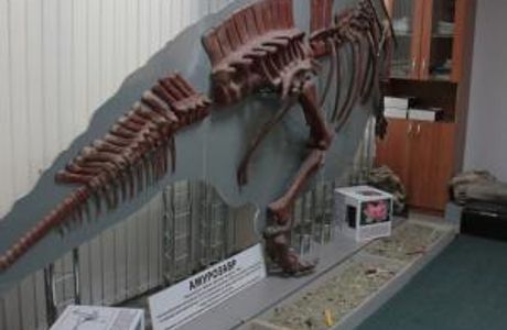 Paleontologic Museum