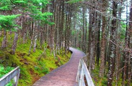 Salmonier Nature Park