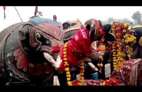 Samay Mata