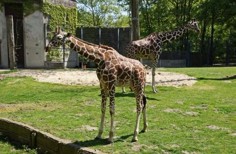 Allwetterzoo Munster