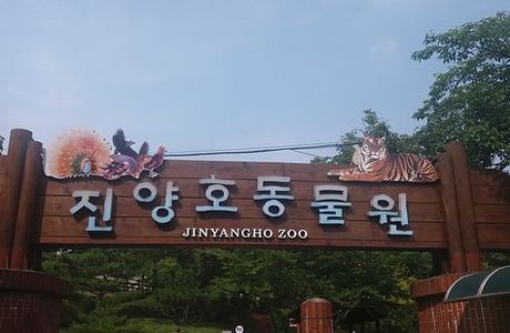 Jinyangho