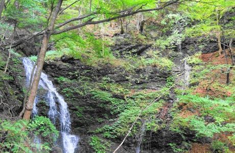 Renju Fall