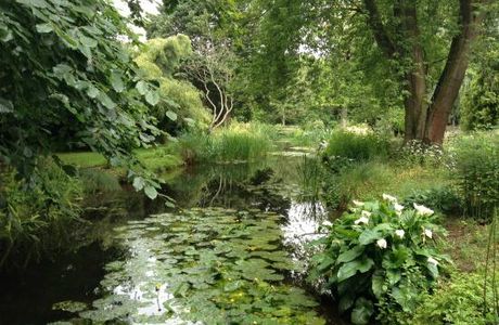 Gooderstone Water Gardens & Nature Trails