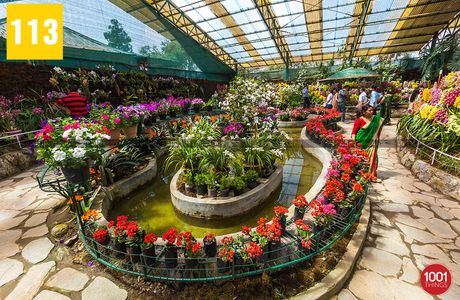 Flower Exhibition Centre