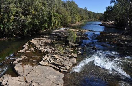 Low Level Nature Reserve