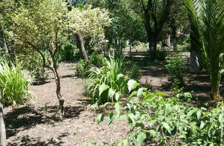 Patrice Lumumba Garden