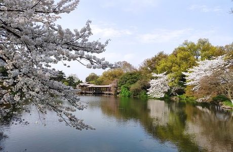 West Lake Colored Port View Fish Garden
