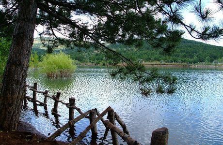 Yozgat Camligi Milli Park