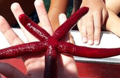 Pesca turismo Michele e Vito Provenzano