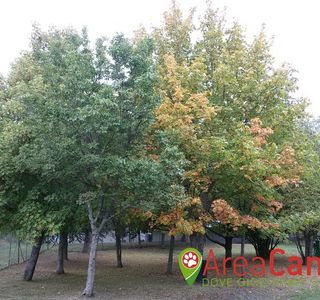 Area Sgambamento Cani Lucia Vaioli