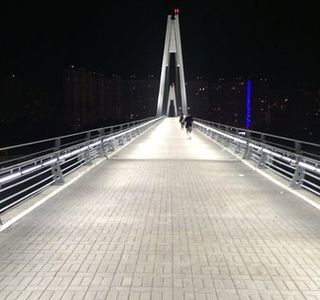 Pedestrian Bridge Pavshinskaya Poima