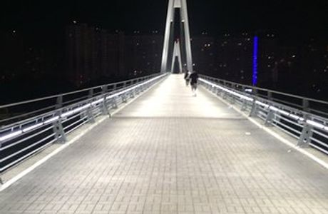 Pedestrian Bridge Pavshinskaya Poima