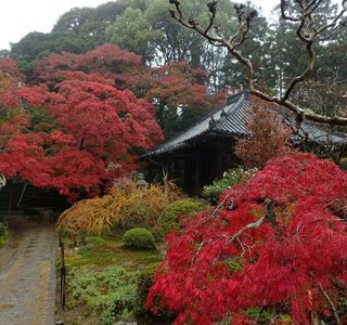 Daimon-ji Temple
