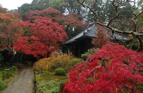 Daimon-ji Temple