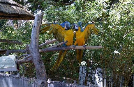 Santa Ana Zoo at Prentice Park