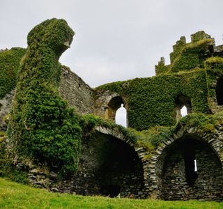 Iimorin Castle Ruins