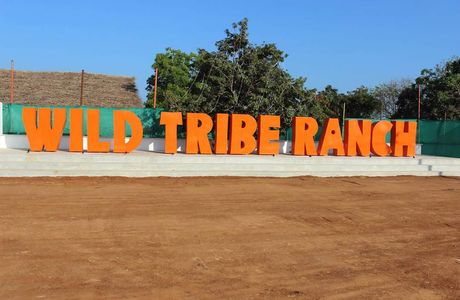 Wild Tribe Ranch