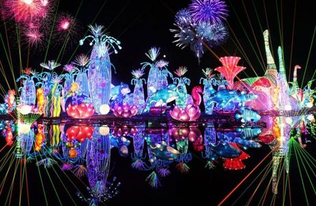 Dubai Garden Glow