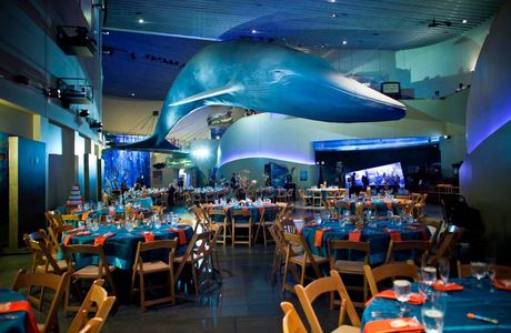 Aquarium of the Pacific