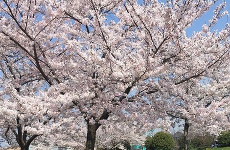 Ashidagawa Furusato Square