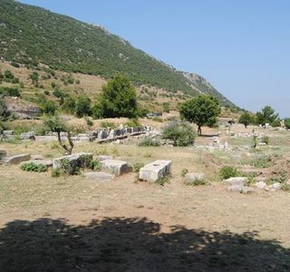 Vedius Gymnasium