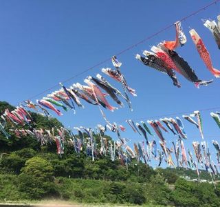 Sagami River Koinobori Festival