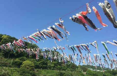 Sagami River Koinobori Festival