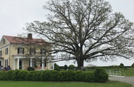 P. Allen Smith's Garden Home